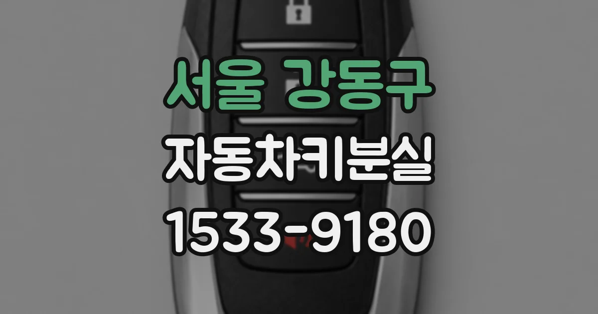 서울 강동구 자동차키분실
