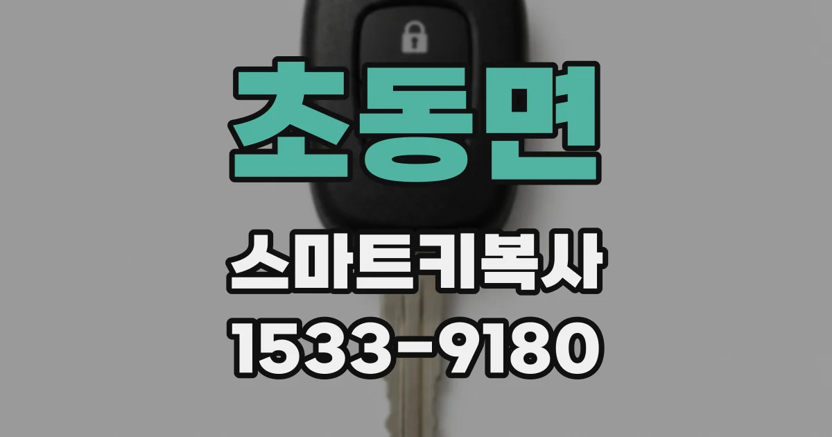 초동면 스마트키복사