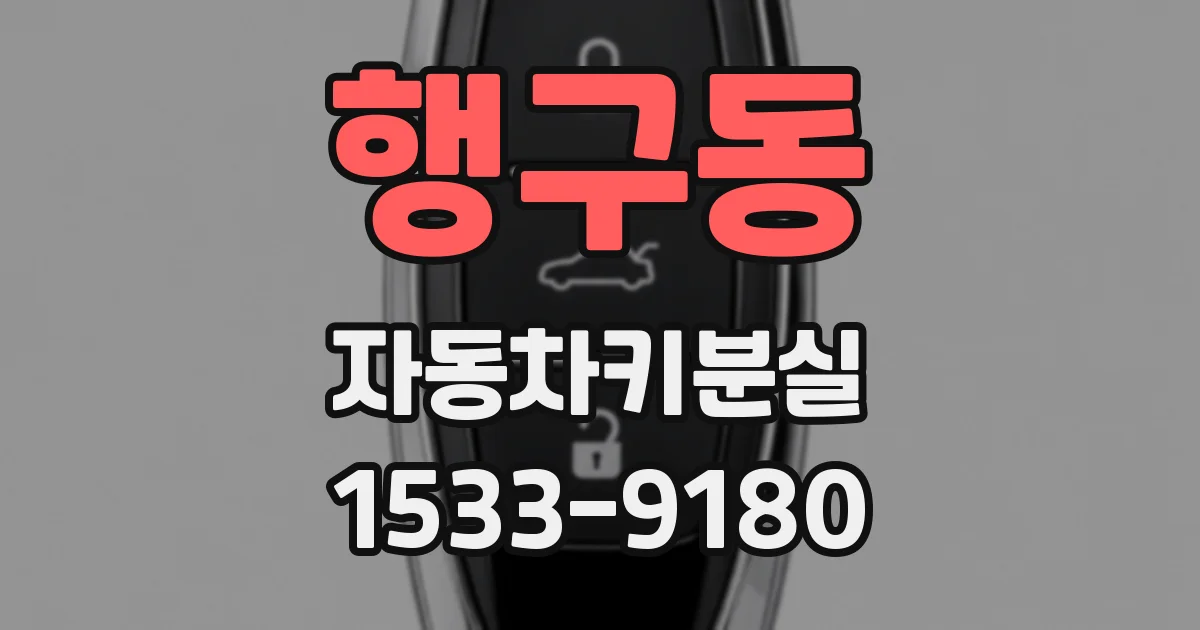 행구동 자동차키분실