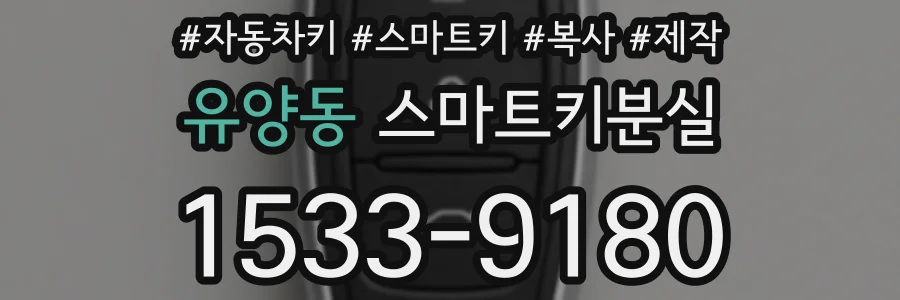 유양동 스마트키분실