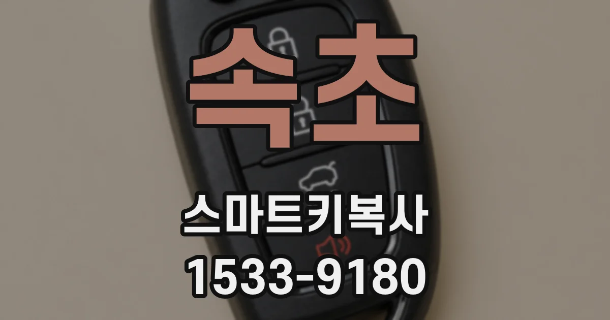 속초 스마트키복사