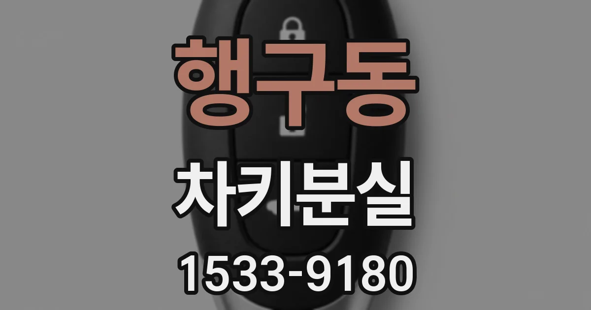 행구동 차키분실