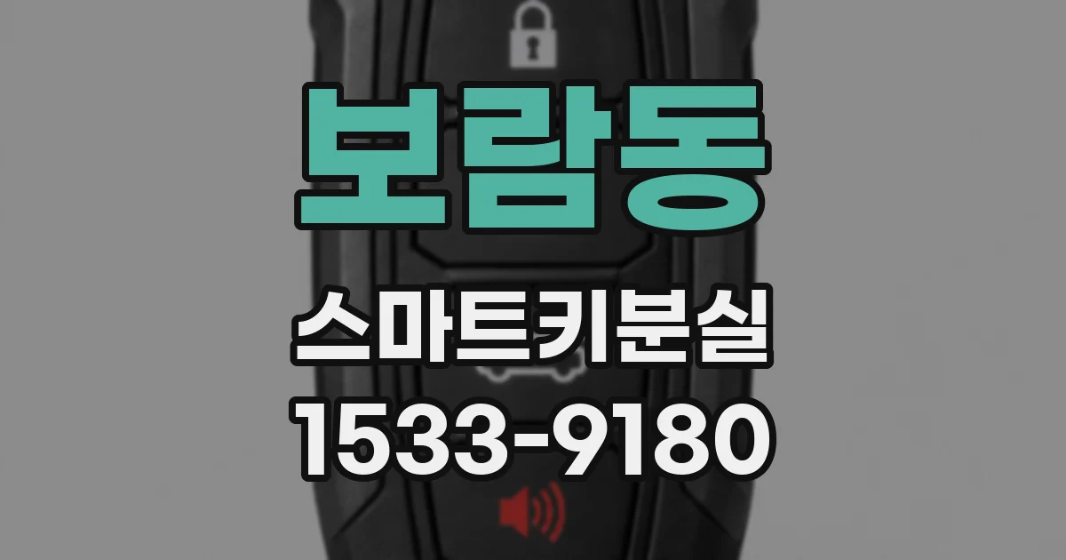 보람동 스마트키분실