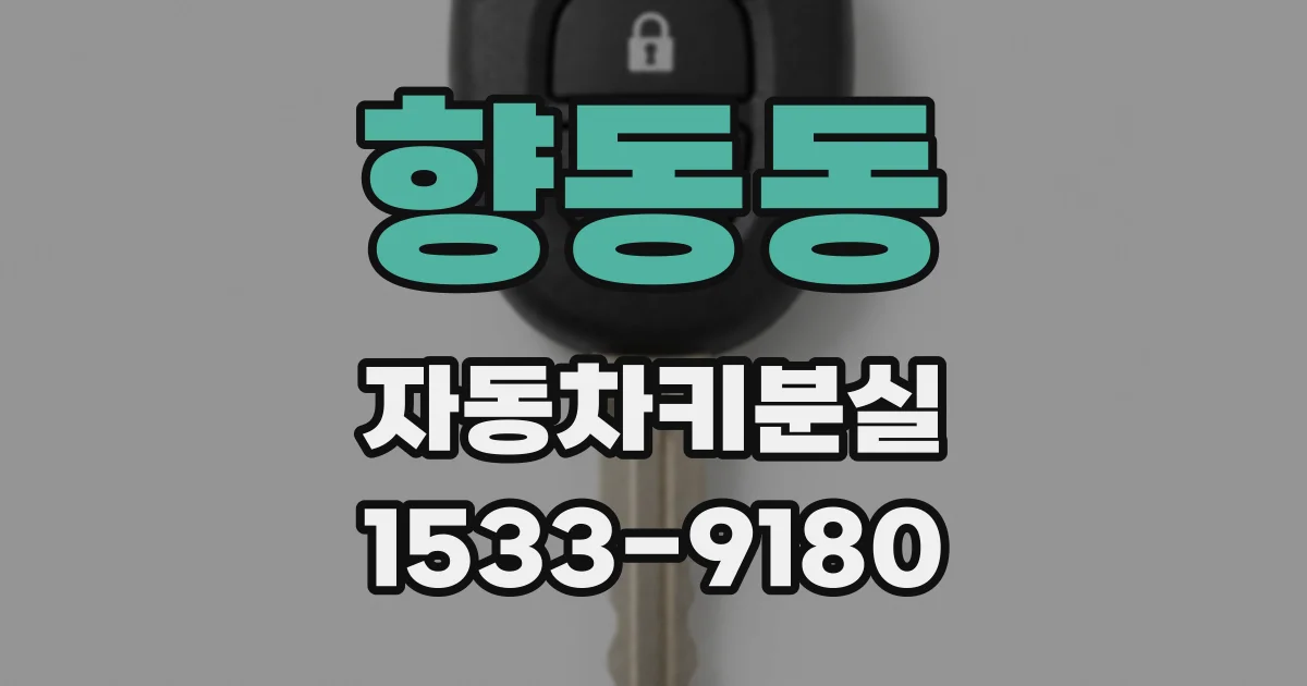 향동동 자동차키분실