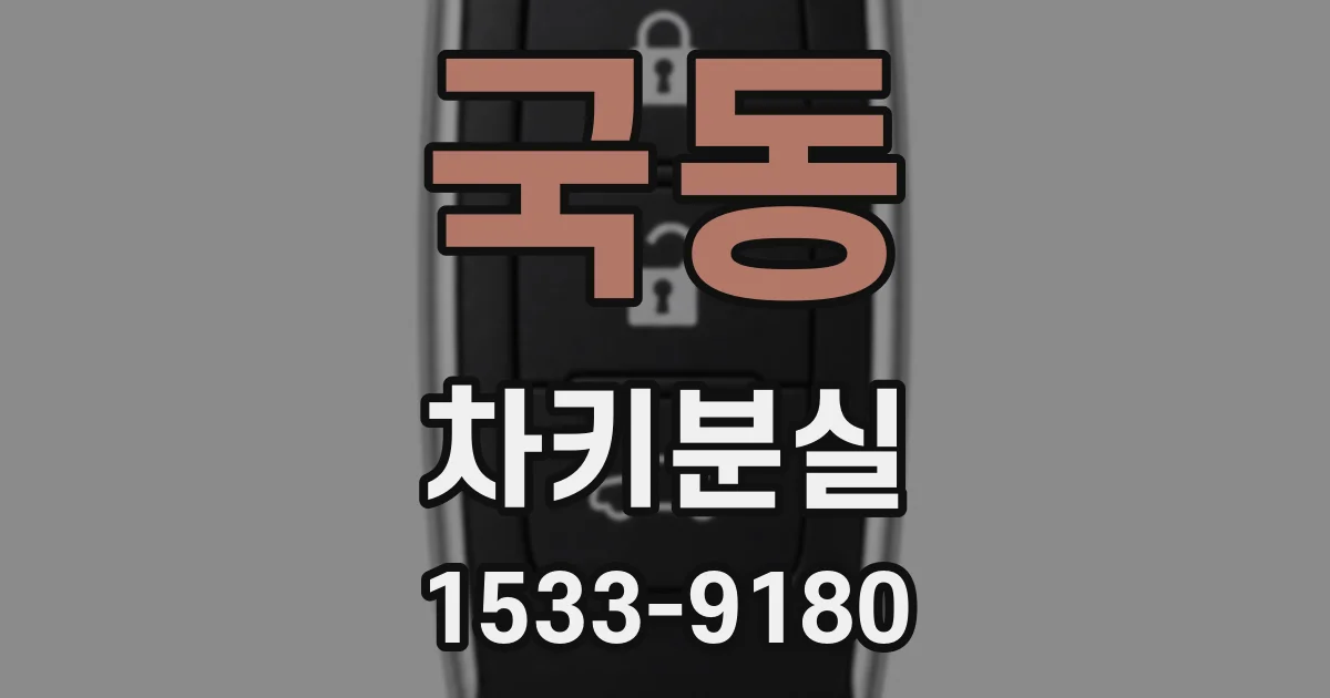 국동 차키분실