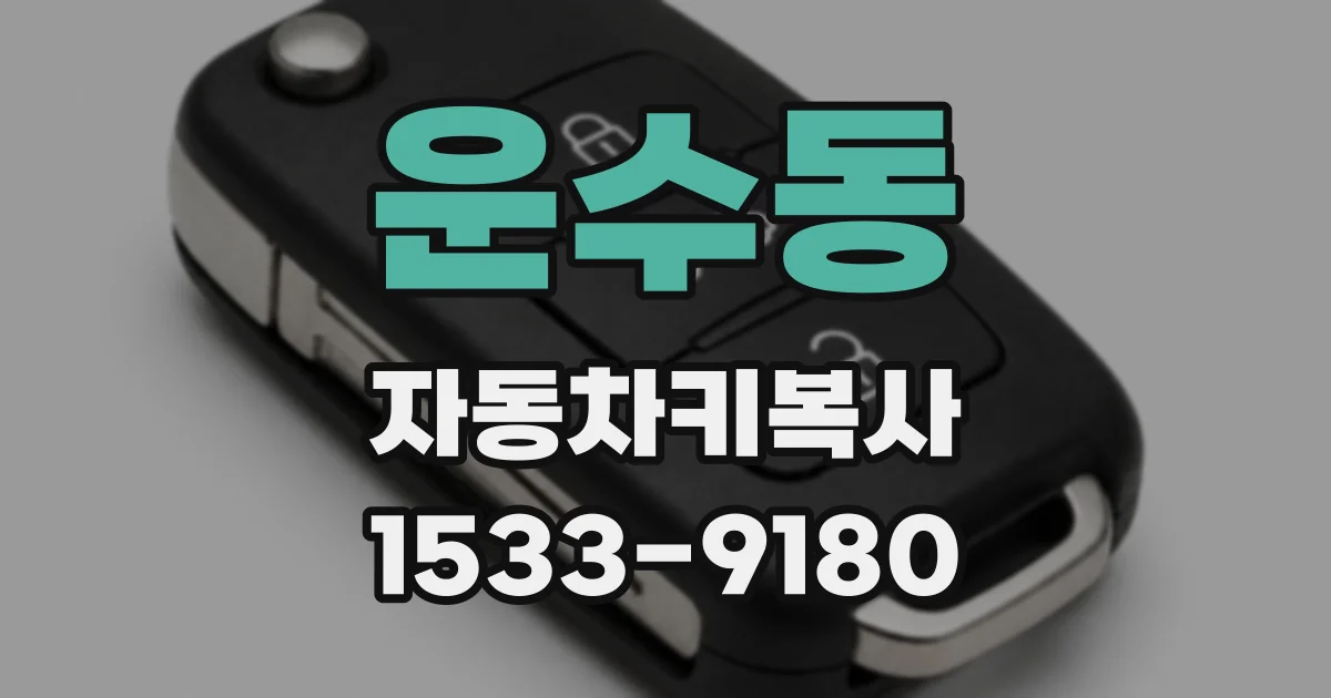 운수동 자동차키복사