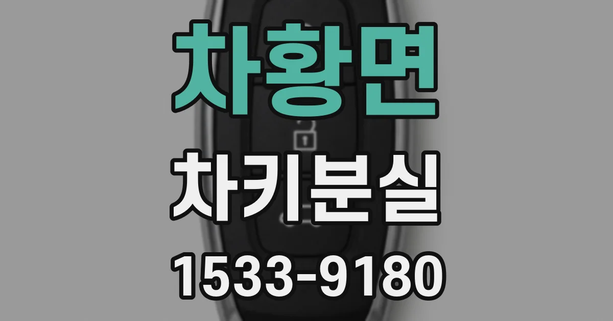 차황면 차키분실