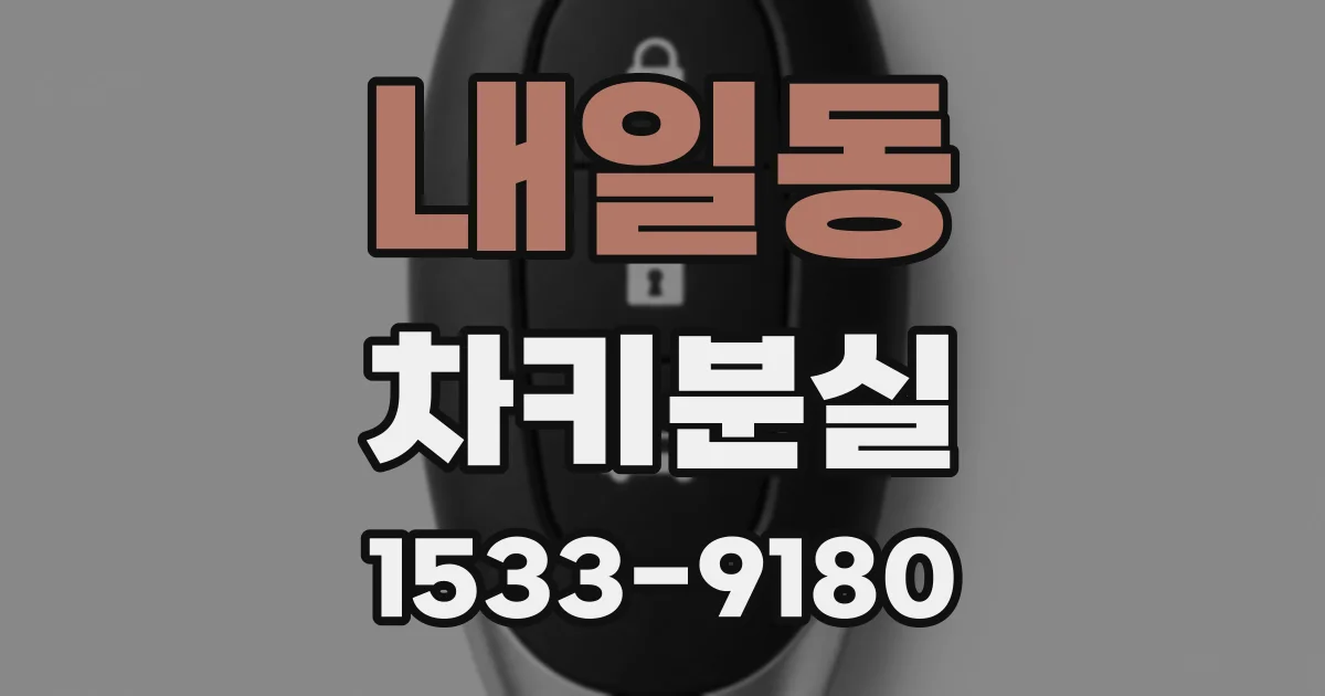 내일동 차키분실