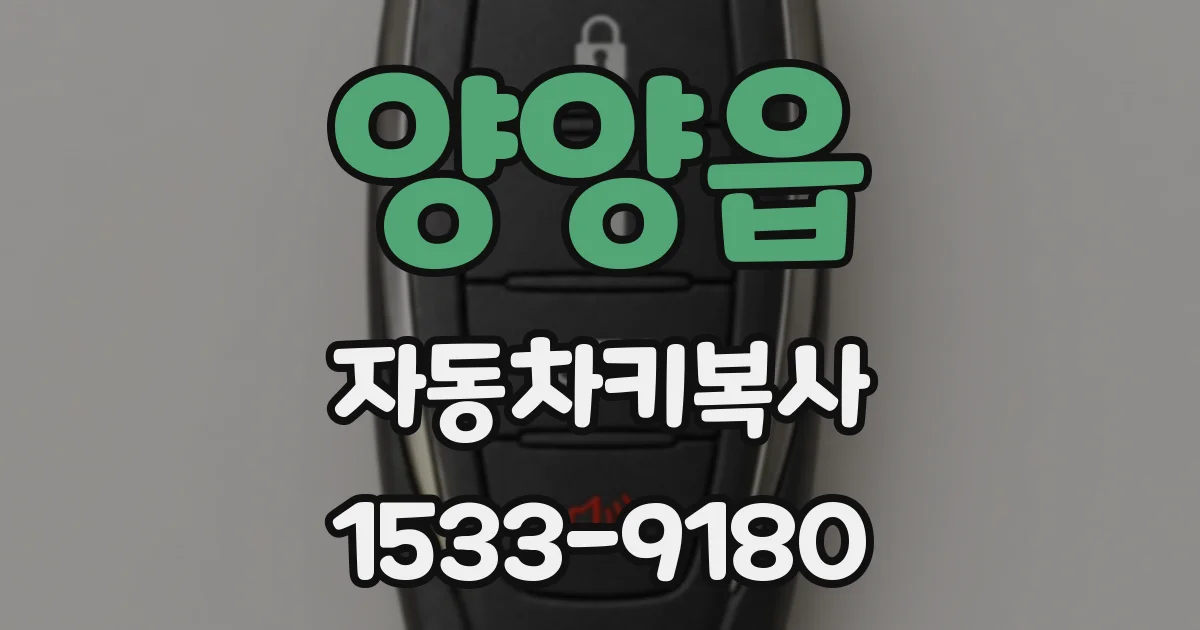 양양읍 자동차키복사