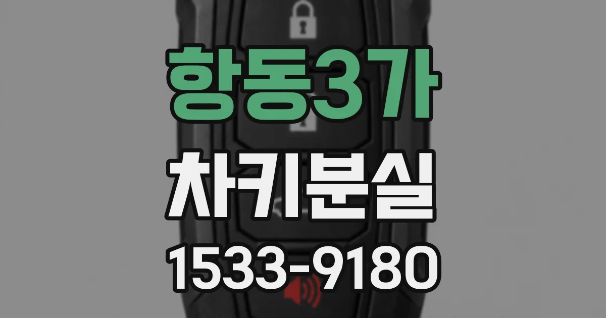 항동3가 차키분실
