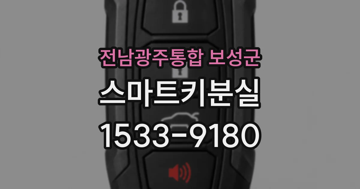 전남광주통합 보성군 스마트키분실