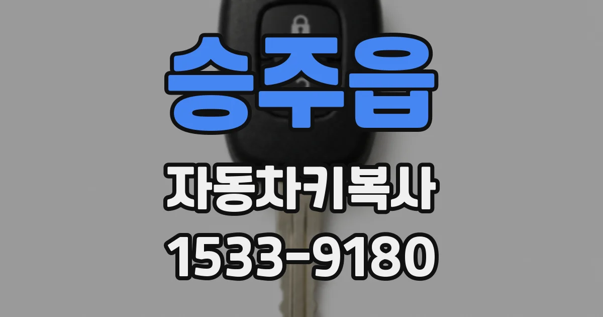 승주읍 자동차키복사