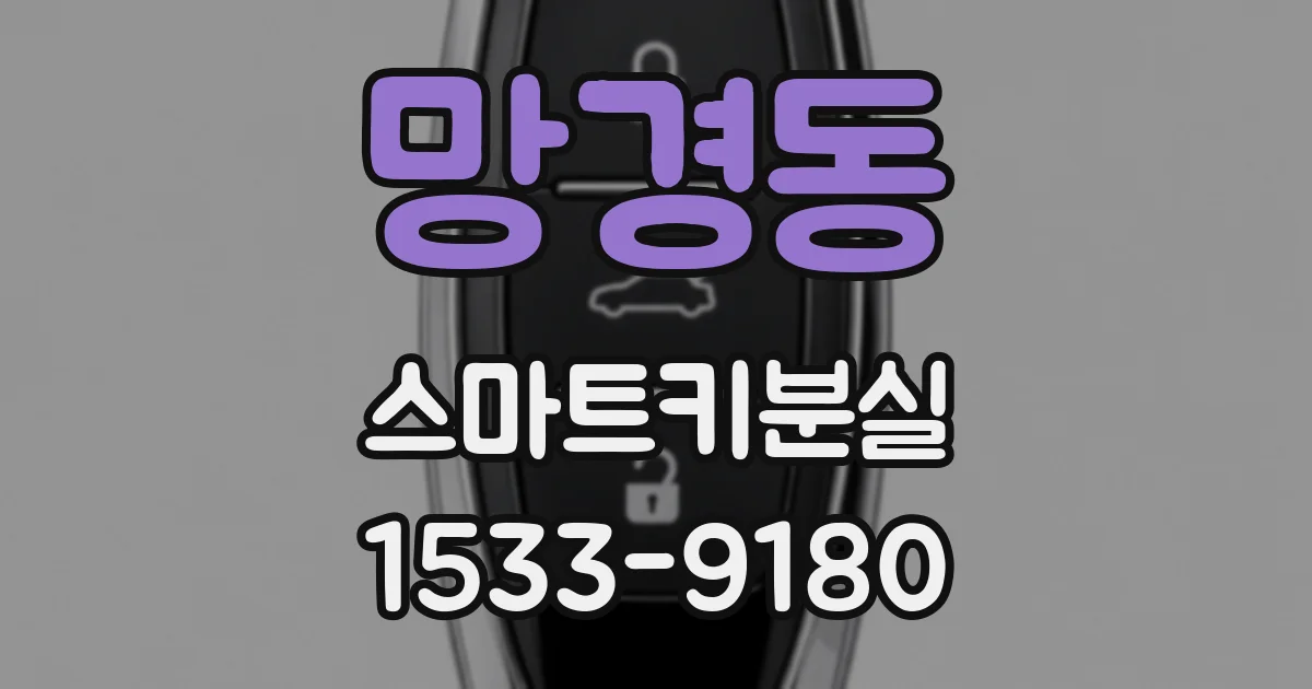 망경동 스마트키분실