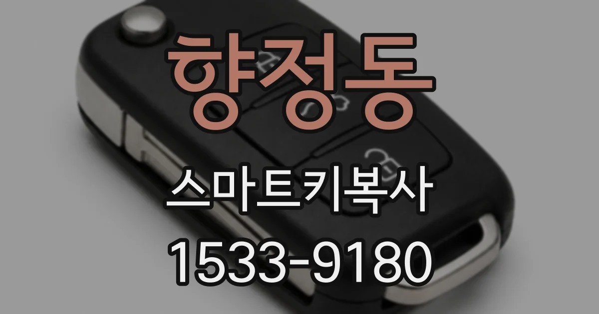 향정동 스마트키복사
