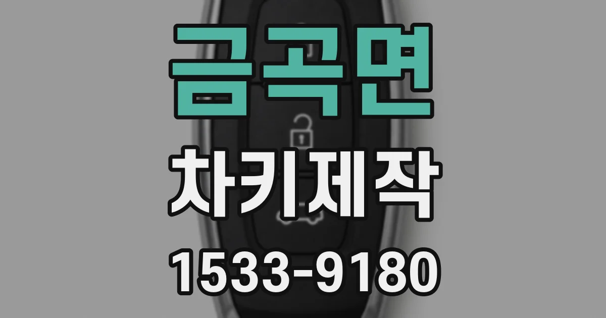 금곡면 차키제작