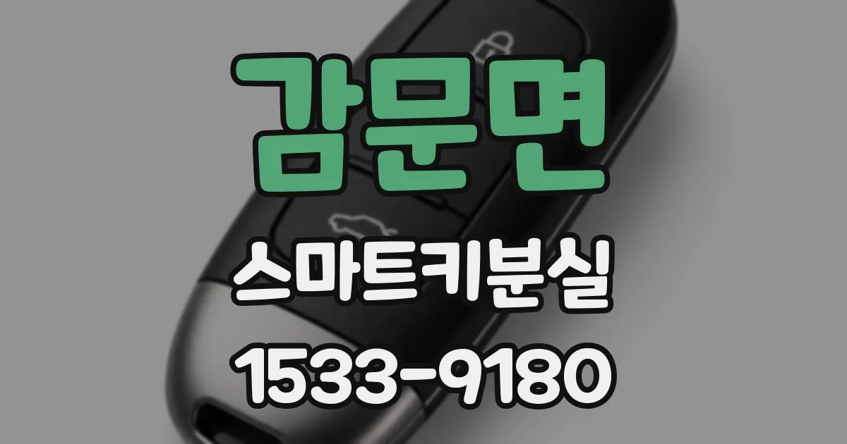 감문면 스마트키분실
