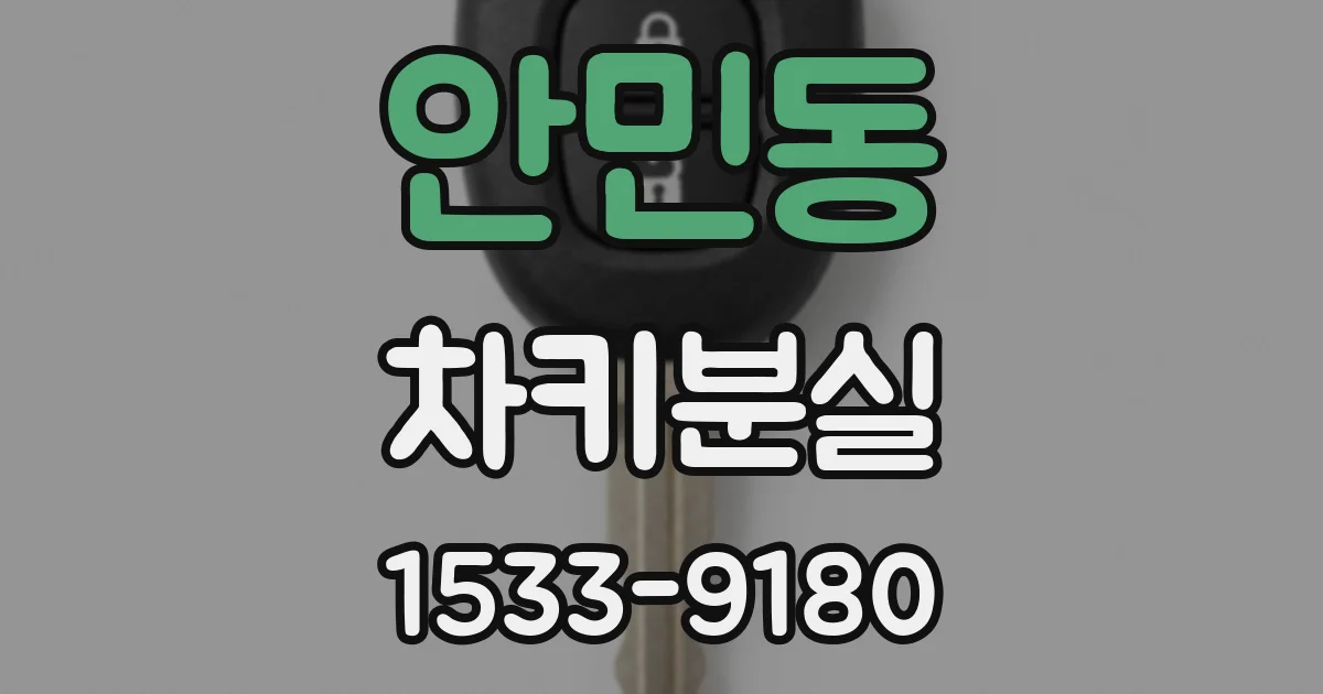 안민동 차키분실