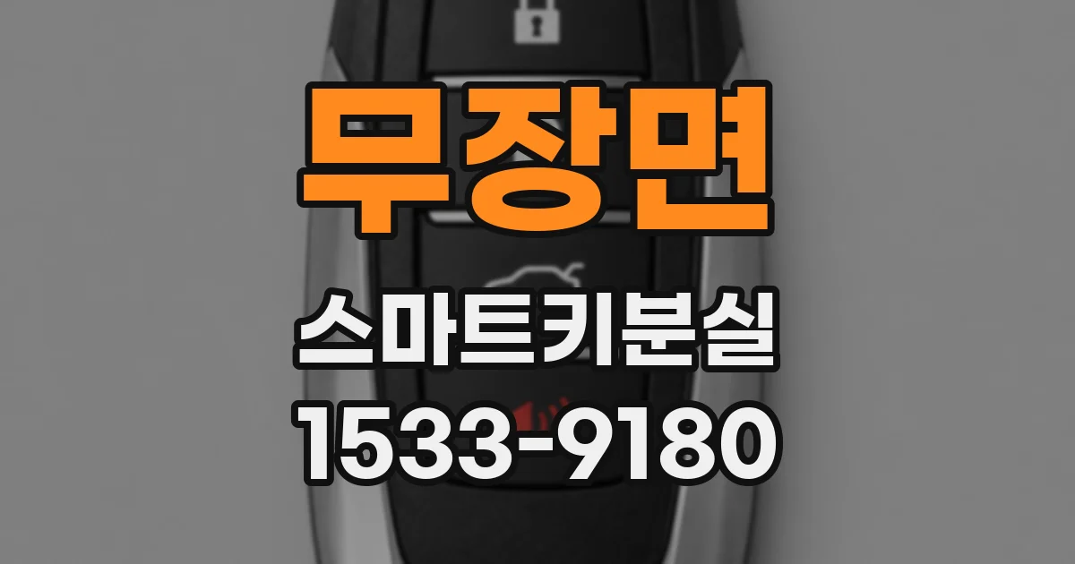 무장면 스마트키분실
