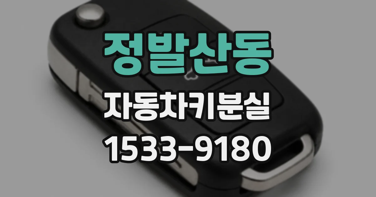 정발산동 자동차키분실