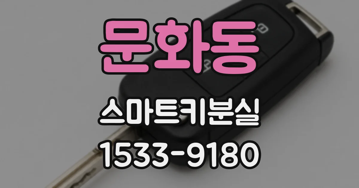 문화동 스마트키분실