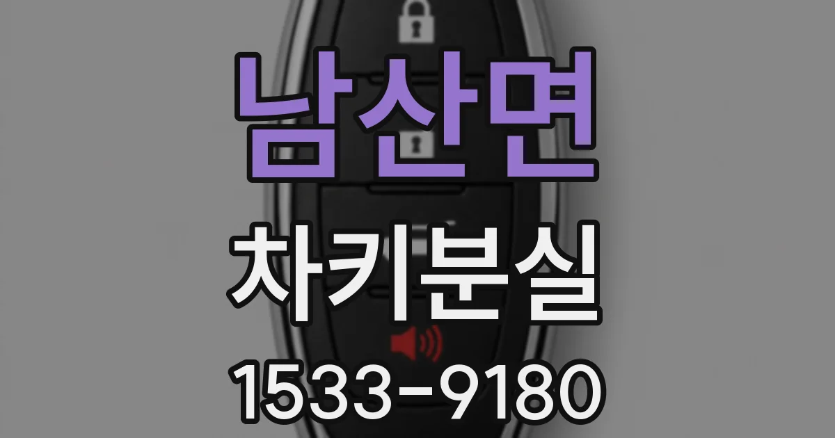 남산면 차키분실