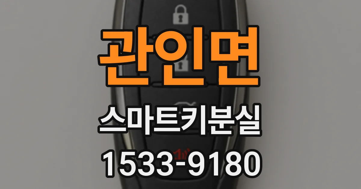 관인면 스마트키분실