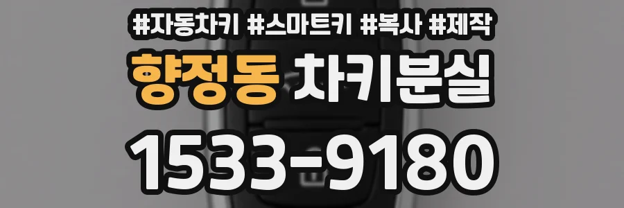 향정동 차키분실