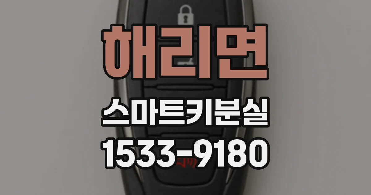 해리면 스마트키분실