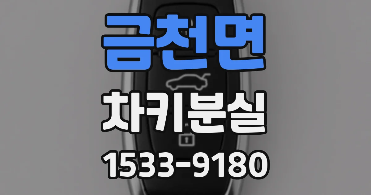 금천면 차키분실