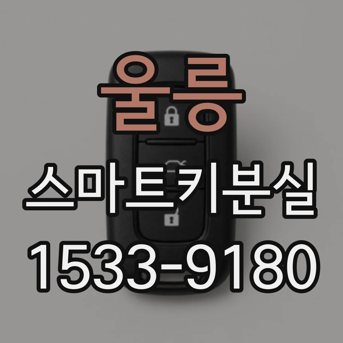 울릉 스마트키분실