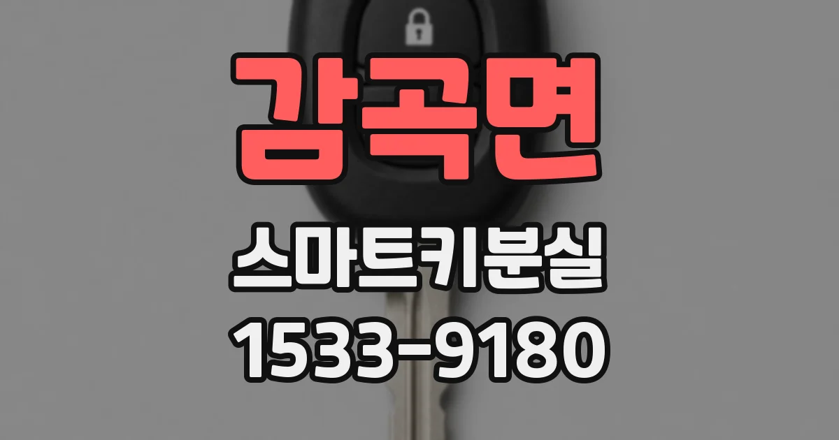 감곡면 스마트키분실
