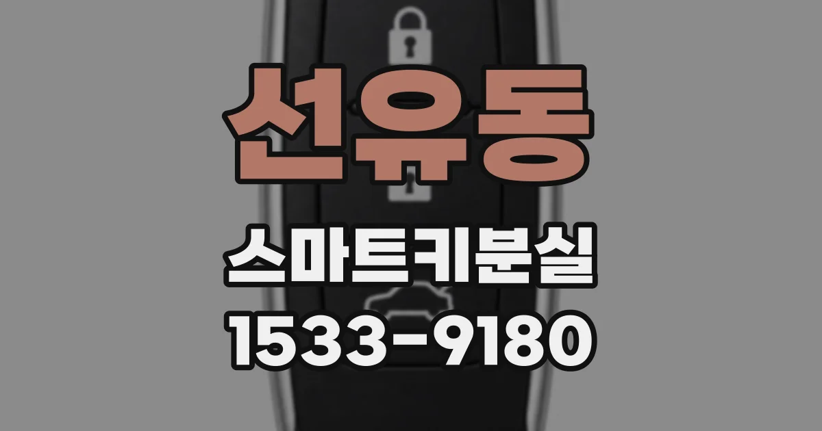 선유동 스마트키분실