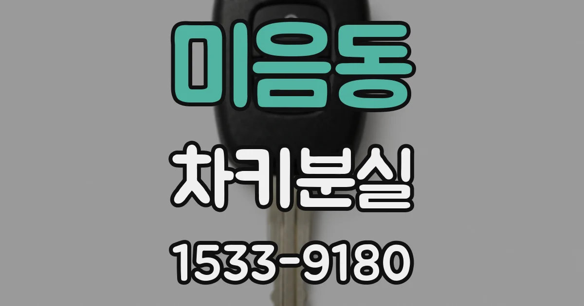 미음동 차키분실
