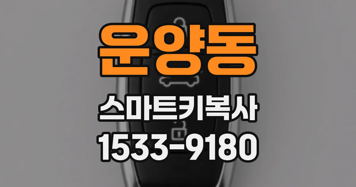 운양동 스마트키복사