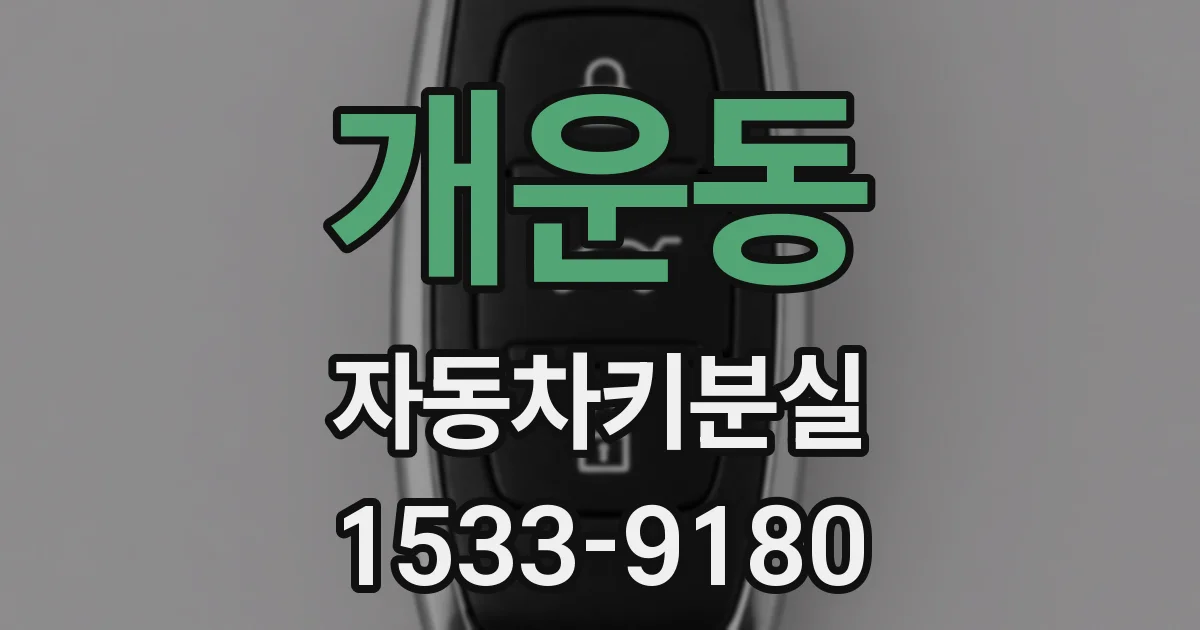 개운동 자동차키분실
