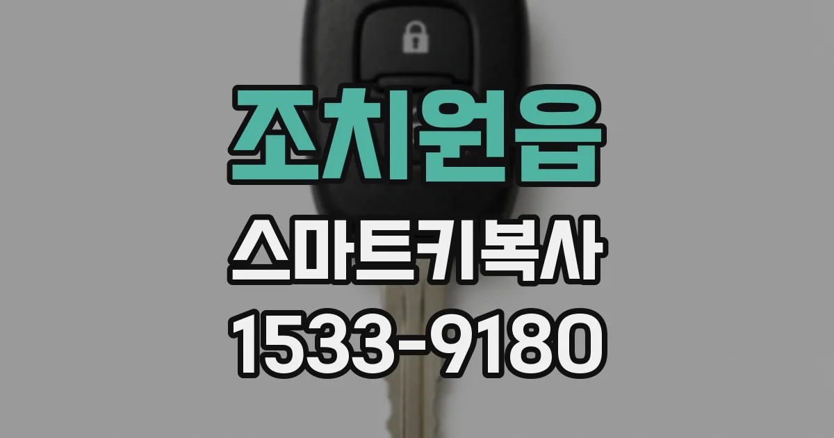조치원읍 스마트키복사