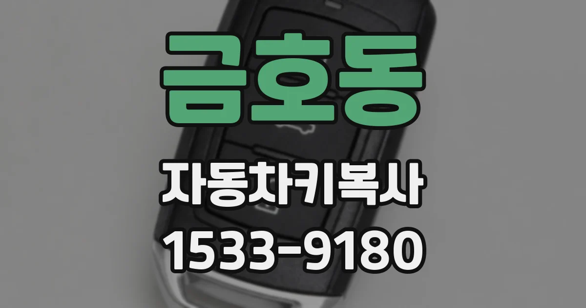금호동 자동차키복사