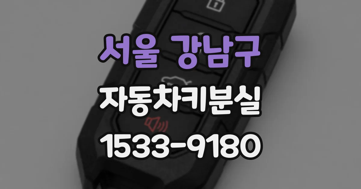 서울 강남구 자동차키분실