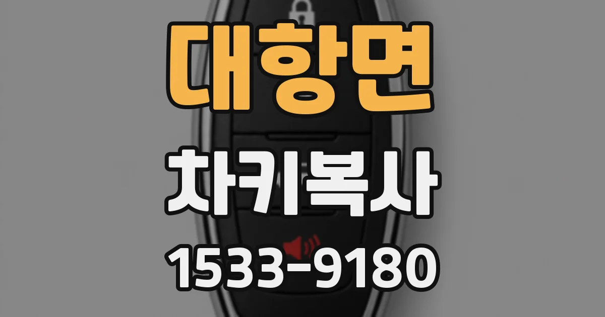 대항면 차키복사