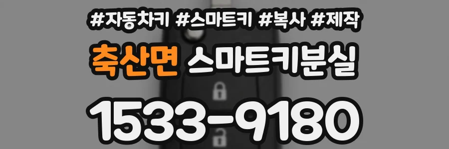 축산면 스마트키분실
