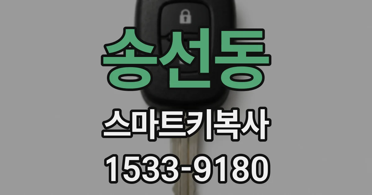 송선동 스마트키복사