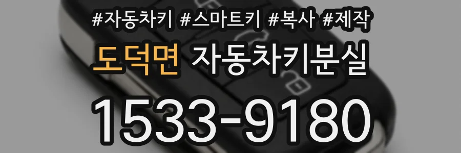 도덕면 자동차키분실