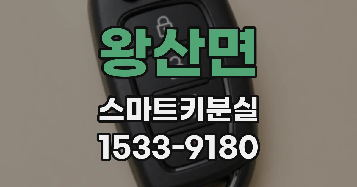 왕산면 스마트키분실