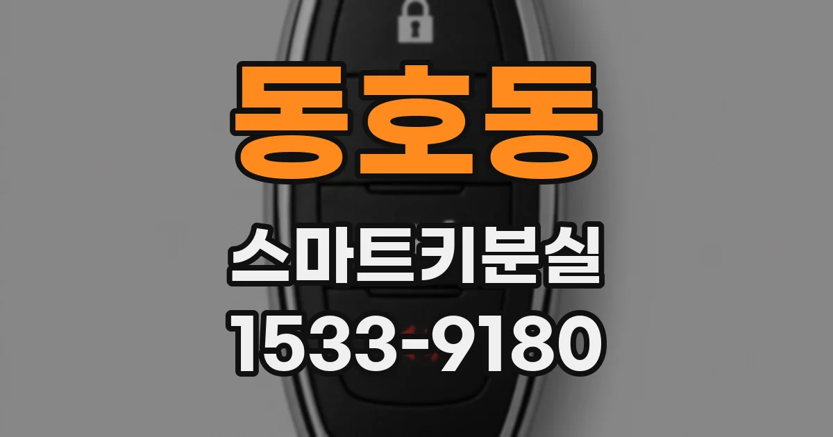 동호동 스마트키분실