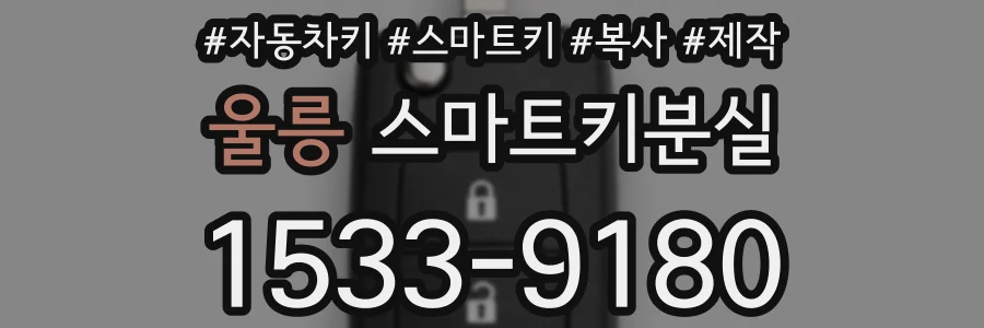 울릉 스마트키분실