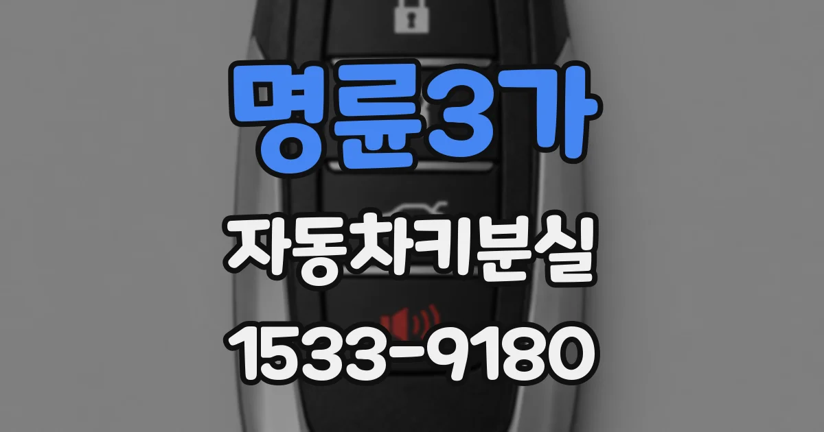 명륜3가 자동차키분실