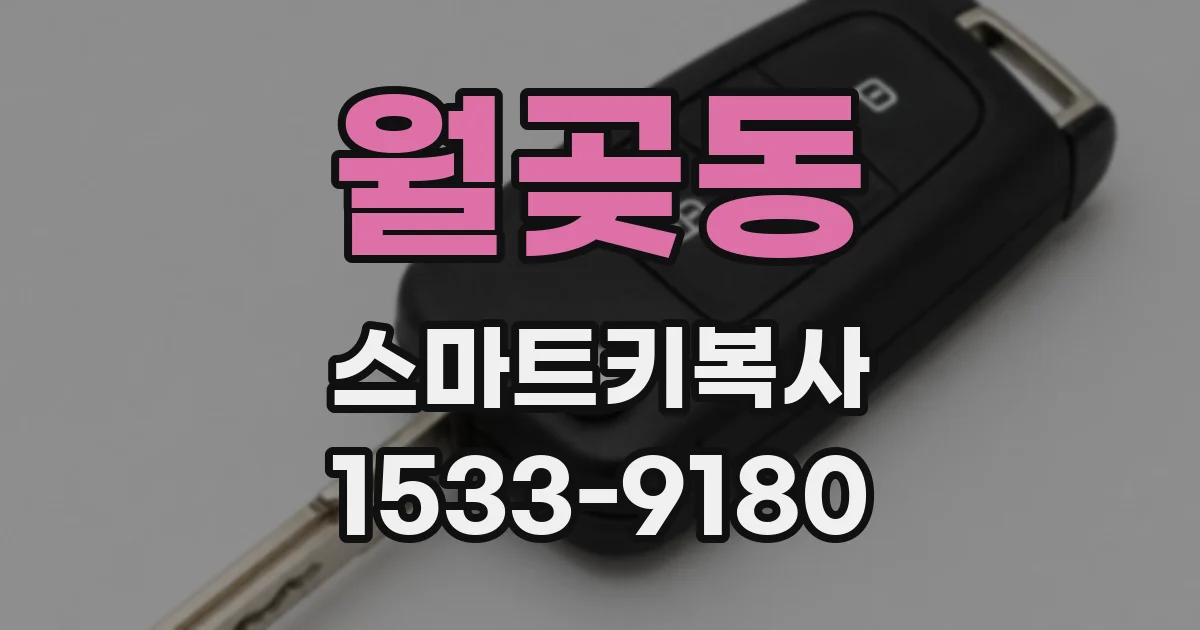 월곶동 스마트키복사