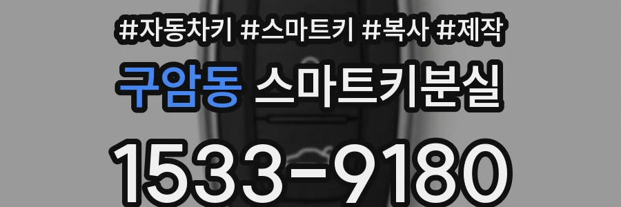 구암동 스마트키분실