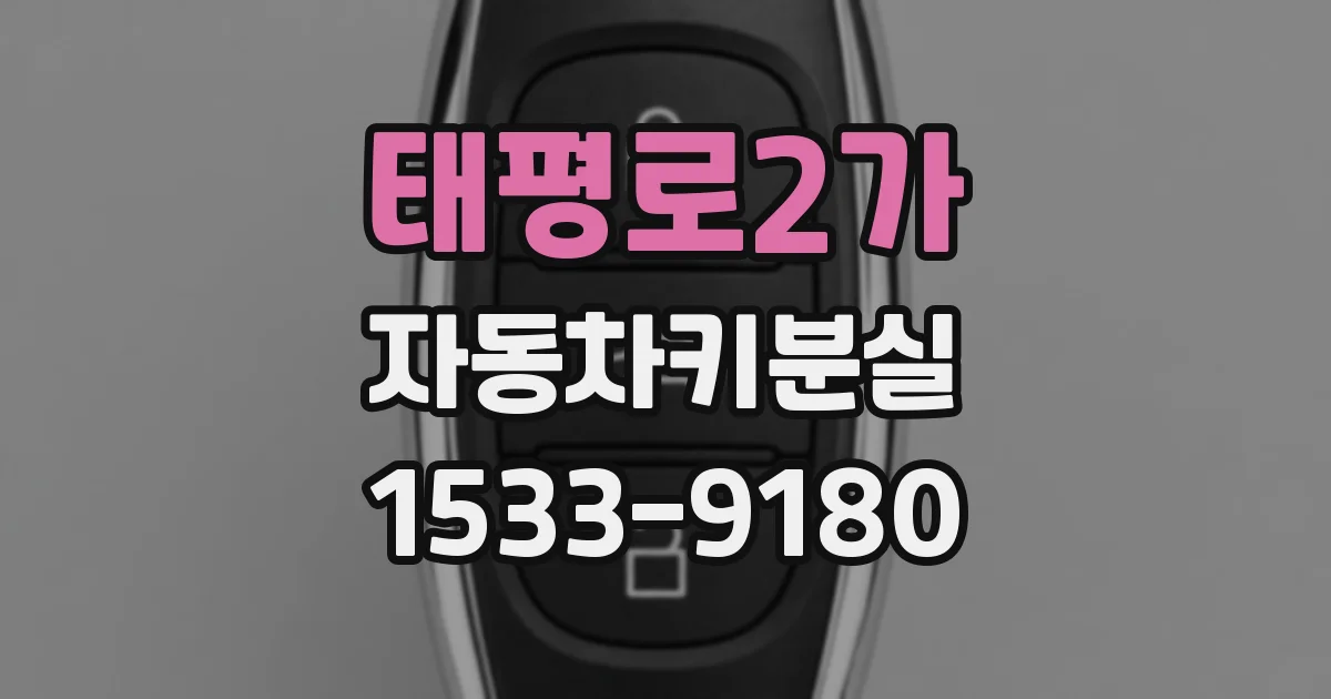 태평로2가 자동차키분실