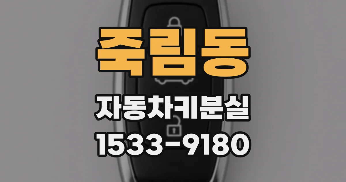 죽림동 자동차키분실